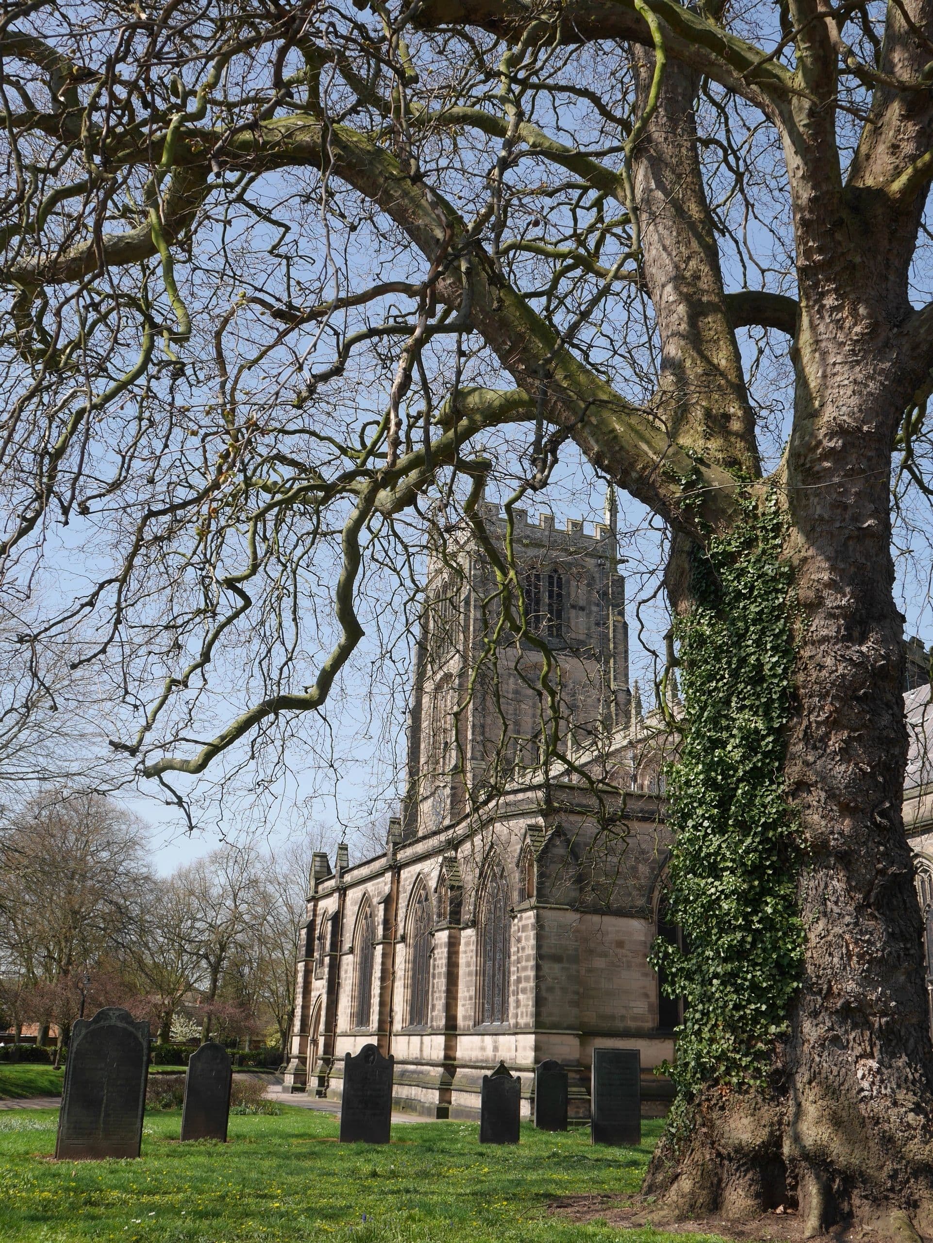 Haircut style example